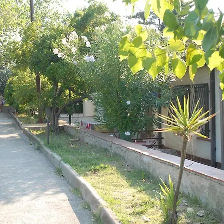 Lido Riccio